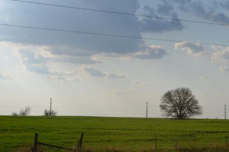 Spring Damage Control at the Farm Image